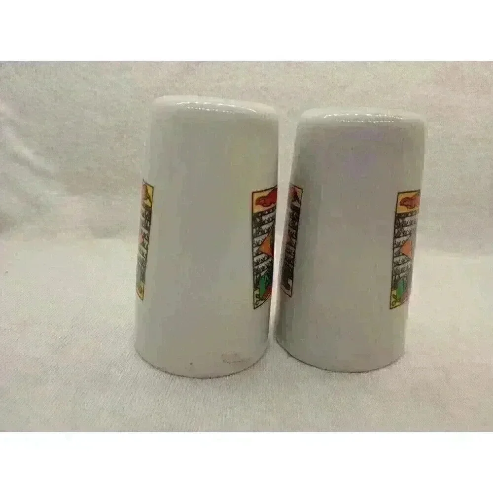 Vintage Salt Pepper Shaker Set New Mexico Souvenir Collectable Kitchen Decor